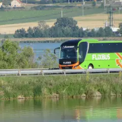 Zielony autobus Flixbus jedzie wzdłuż jeziora. Szukaj flixbus promocje na podróż!