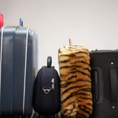 Różne walizki, w tym bagaż ponadwymiarowy PKP, na taśmie bagażowej.