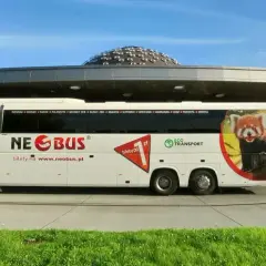 Biały autokar Neobus z pandą małą na boku stoi pod nowoczesnym zadaszeniem. Sprawdź neobus ceny biletów na www.neobus.pl.