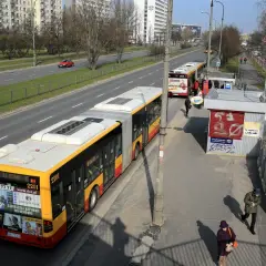 Autobus linii 702 Poznań na przystanku. Zbliża się do zatoczki, gdzie czekają pasażerowie.