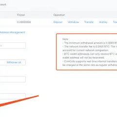 Formularz wypłaty środków z konta kryptowalutowego: adres, kwota, hasło, przycisk potwierdzenia.