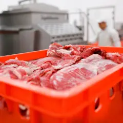 Ile kg mięsa można przewieźć do Niemiec? Sprawdź ważne zasady