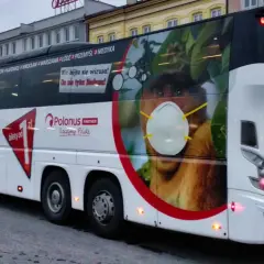 Neobus rezerwacja telefoniczną. Autobus z wizerunkiem nosacza w masce. Bilety od 1 zł. Infolinia 24h.