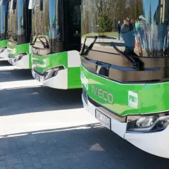 Nowe autobusy Iveco PKS w zielono-białych barwach czekają na pasażerów w Siedlcach i Lubinie.