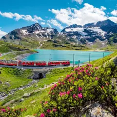 Czerwony pociąg jedzie wzdłuż turkusowego jeziora w Alpach. Krowy pasą się na zielonym zboczu. Idealna podróż ze **Swiss Travel Pass**.