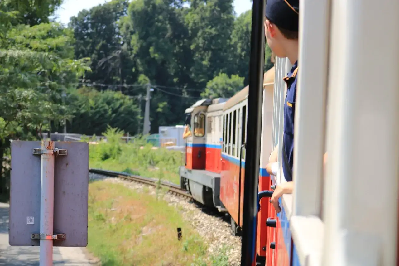 Chłopiec w czapce i granatowej koszuli wygląda z okna pociągu, który jedzie po torach. To może być jego pierwsza przesyłka konduktorska.